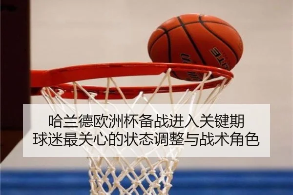 哈兰德欧洲杯备战进入关键期 球迷最关心的状态调整与战术角色（jiuyouhui）